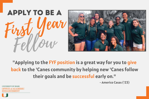 apply to be a first year fellow
